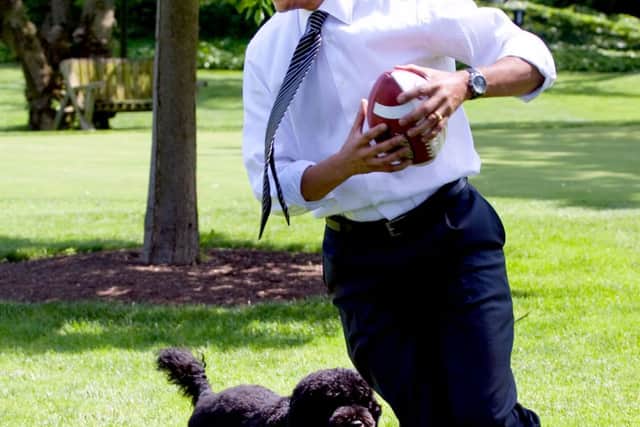 Barack Obama famously bought his dog Bo to the White House