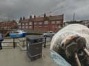 A walrus called Thor was spotted having a rest at Scarborough Harbour ahead of the New Year