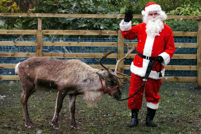 Gnu the reindeer, back with Santa after escaping from his oreal.