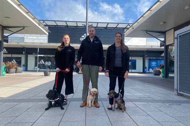 Dalton Park digital marketing assistant Chelsea Pashley, centre manager Richard Kaye and operations manager Jackie Johnson with their pet dogs.