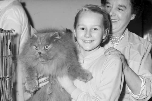 A cat show at the Palatine in 1960.