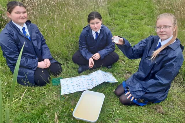 Pupils Brooke Barnett, Morgan Barnett and Isabelle Stott examine some of the aquatic life in the Forest School pond.