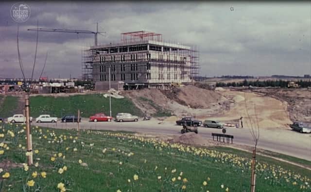 The town centre takes shape in this still from the cine footage.
