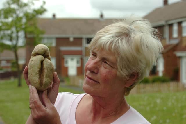 Mary Greenwood with her unusually shaped potato in 2010.