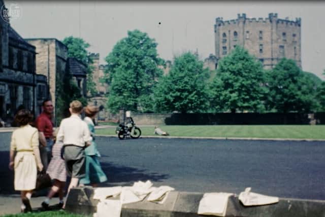 A 1951 film to promote the campaign against litter, and it included scenes from Palace Green.