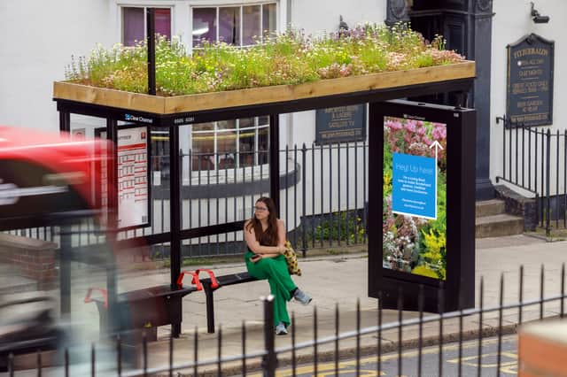 Living roof bus shelters are designed to encourage wildlife and reduce flooding