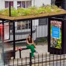 Living roof bus shelters are adding a pop of colour to the city