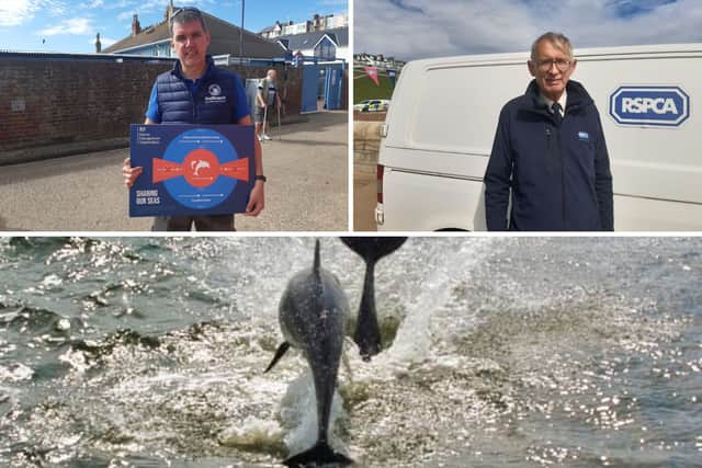Operation Seabird has been educating people about keeping their distance from wildlife. Pictured is Michael Burn from Seascapes, Geoff Edmond from the RSPCA, and two dolphins captured playing in Roker Harbour. 