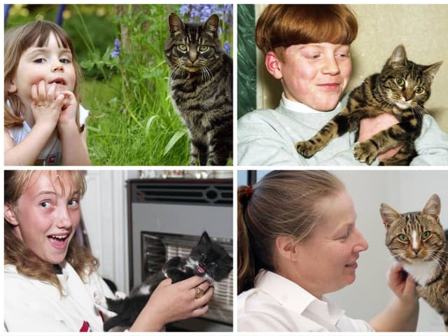 Cats in the headlines. Enjoy our selection of retro kitty stories from the Echo archives.