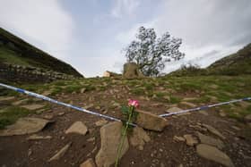 PA picture: A flower placed at the tree at Sycamore Gap, next to Hadrian's Wall, in Northumberland which has come down overnight after being "deliberately felled," the Northumberland National Park Authority has said. Picture date: Thursday September 28, 2023.