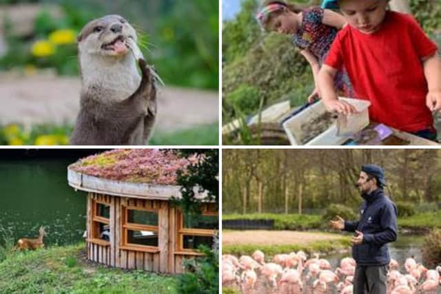 Just some of the attractions at the Washington Wetland Centre.