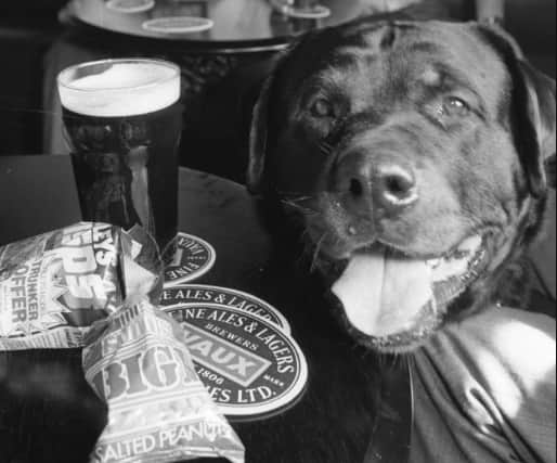 Fritz the beer-loving dog was pictured with a pint at the pub in Boldon.