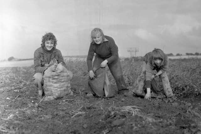 Workers on a hill top at Tunstall in 1974.