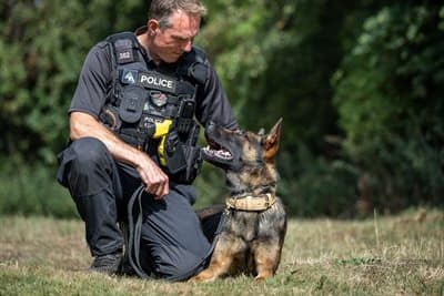 Pd Rocco Police dog Rex helps locate missing man