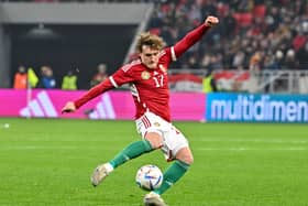 Hungary midfielder Callum Styles