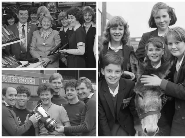 The year when feet, Cats and a donkey were in the Sunderland news.