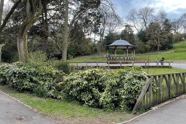 A row has broken out between opposition parties over proposals to put Barnes Park in two council wards.