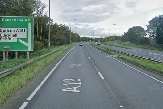 Two horses loose on the A19 'brought under control' by police officers 