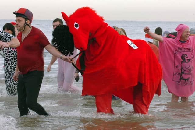 A panto horse has a go at the dip in 2010.