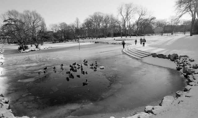 Shivering back to this icy scene at Mowbray Park.