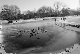 A freezing Mowbray Park in 1995