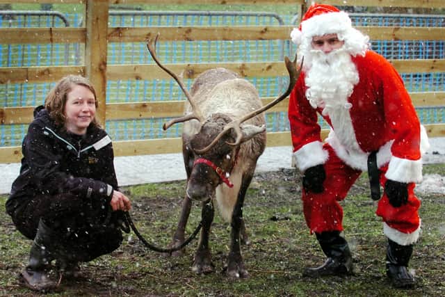 Gnu the reindeer was back with Santa after his ordeal in 2010.