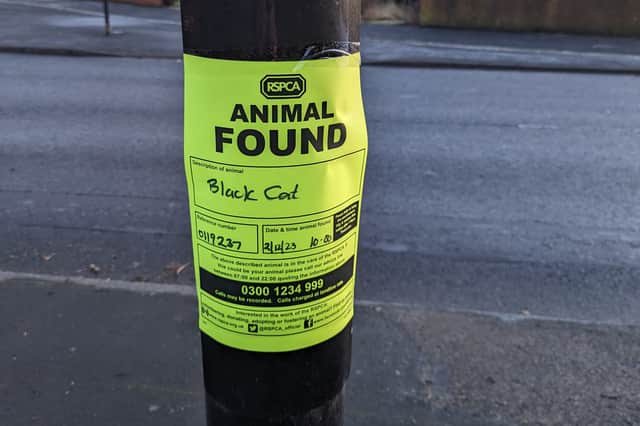 The RSPCA put out an appeal to find Whiskas' family.