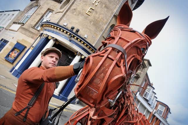 Joey on a previous War Horse visit to Sunderland 