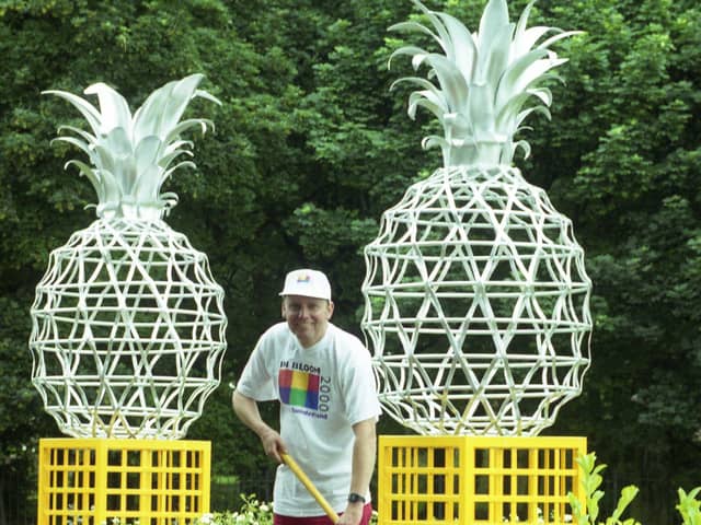 The pineapples which brought a tropical look to a Sunderland roundabout.