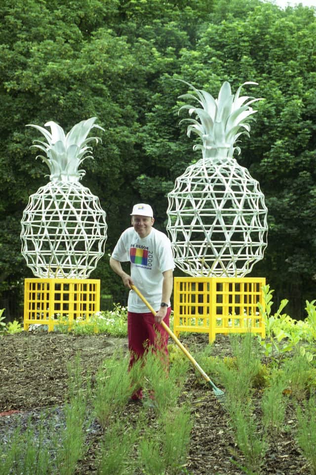 Gardener Paul Armour gets the traffic island at the Board Inn back to its best after the giant pineapples were installed.