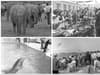 Nine vanished Sunderland attractions and landmarks lost through time, including Seaburn Zoo and Pallion Market