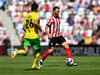 Sunderland injury boost as two long-term absentees spotted in training ahead of Norwich and Leicester games