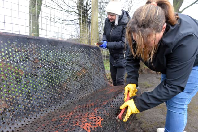 Volunteers at work