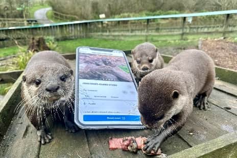 The new app allows you to find out about the different animals at the centre.