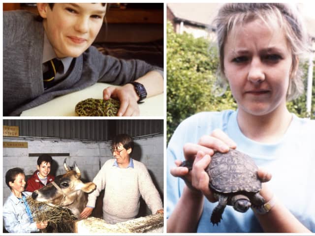 Caliban, Clover and Terry - a Jersey cow, poisonous toad and a daredevil turtle in the 1988 news.