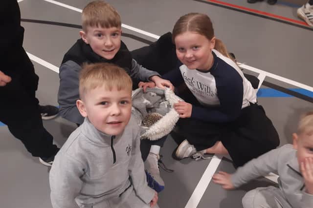 Oliver, Isaac, Lucas and Gracie with the hedgehog.