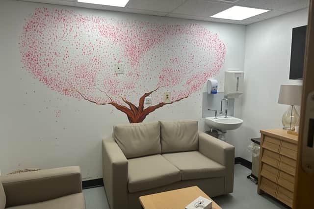 The finished artwork on Ward B26 at Sunderland Royal Hospital. Submitted picture