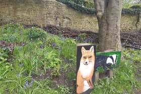 Mssrs Fox and Badger are delighted with the new dead hedge behind the, next to the historic arch.