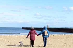 Dog exclusion zones will be back in operation on Seaburn and Roker beaches from tomorrow.