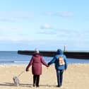 Dog exclusion zones will be back in operation on Seaburn and Roker beaches from tomorrow.
