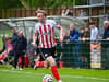 Three exciting Sunderland prospects to watch out for in pre-season after U21s progress