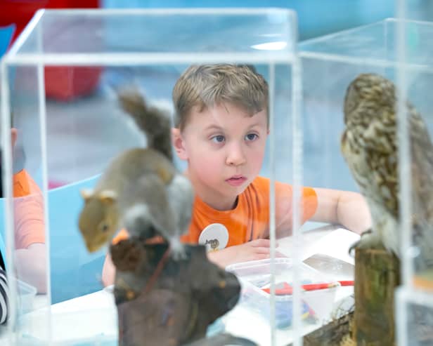 The museum has free Creature Collections drop-in sessions for families.