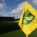 Norwich City have confirmed the appointment of their new head coach