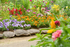 A poll of 2,000 adults revealed the quirkier strategies those who garden adopt to help their plants grow - including throwing teabags onto the soil