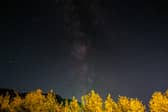 What North East locals can expect from the upcoming Orionid meteor shower.