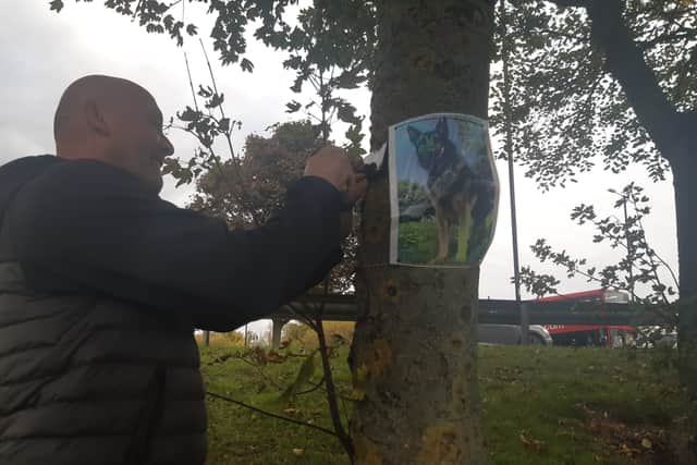 Jonathan placing the plaque on Buddy's favourite chillout tree.