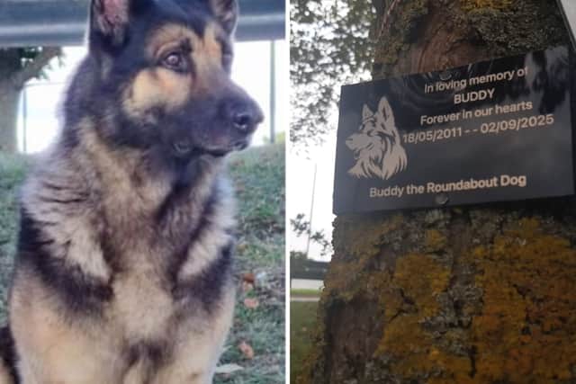 The memorial plaque in memory of Buddy the Roundabout Dog.