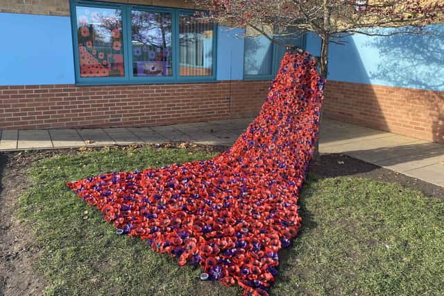 The giant poppy waterfall created by pupils.