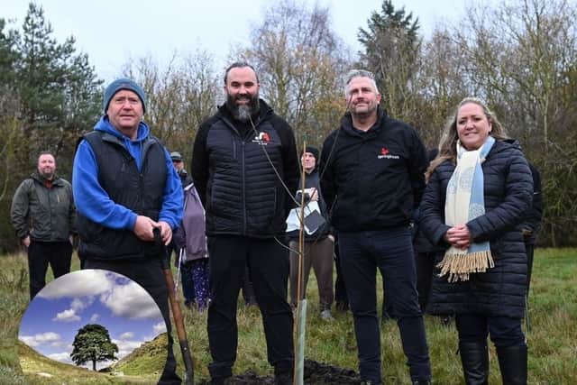 We think Sunderland's Sycamore Gap will touch many lives
