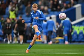 Brighton winger Tommy Watson has trained well this week